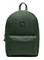 Рюкзак школьный ZAIN 998 "Зеленый" - фото 8130